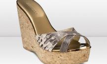 shoe
