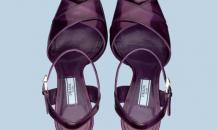 shoe