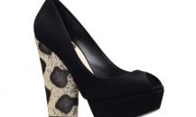 shoe
