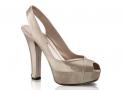 shoe