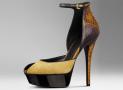 shoe