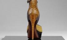 shoe