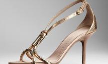 shoe