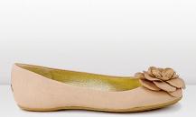 shoe