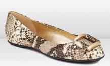 shoe