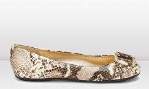 shoe
