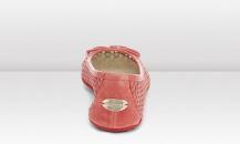 shoe