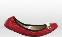shoe
