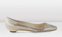 shoe
