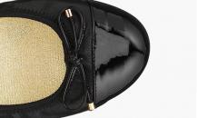 shoe