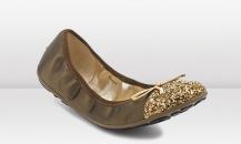 shoe