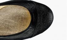 shoe