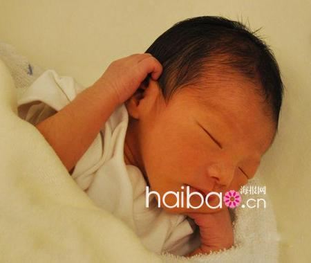 陳慧琳流產痛失雙胞胎女兒