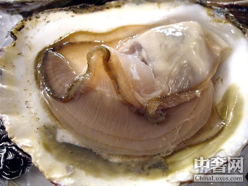 南半球生蠔 小個頭也有大味道