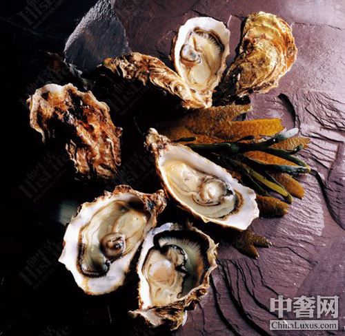 南半球生蠔 小個頭也有大味道