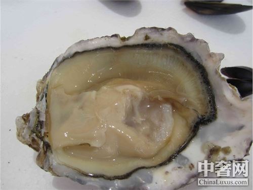 南半球生蠔 小個頭也有大味道