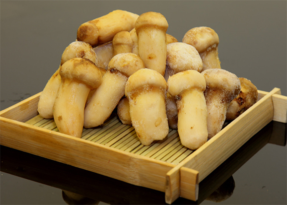 金秋野菌香 鮮味養生兩不誤