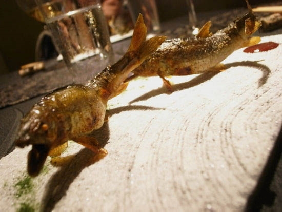 日本龍吟餐廳 帶你享受日料香魚食肆