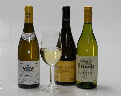 50款頂級葡萄酒涼快今夏