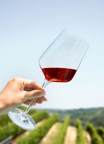 高腳杯的講究：搖“醒”你的葡萄酒