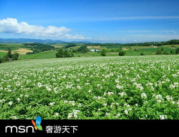 甜品天堂 北海道四季甜蜜之旅